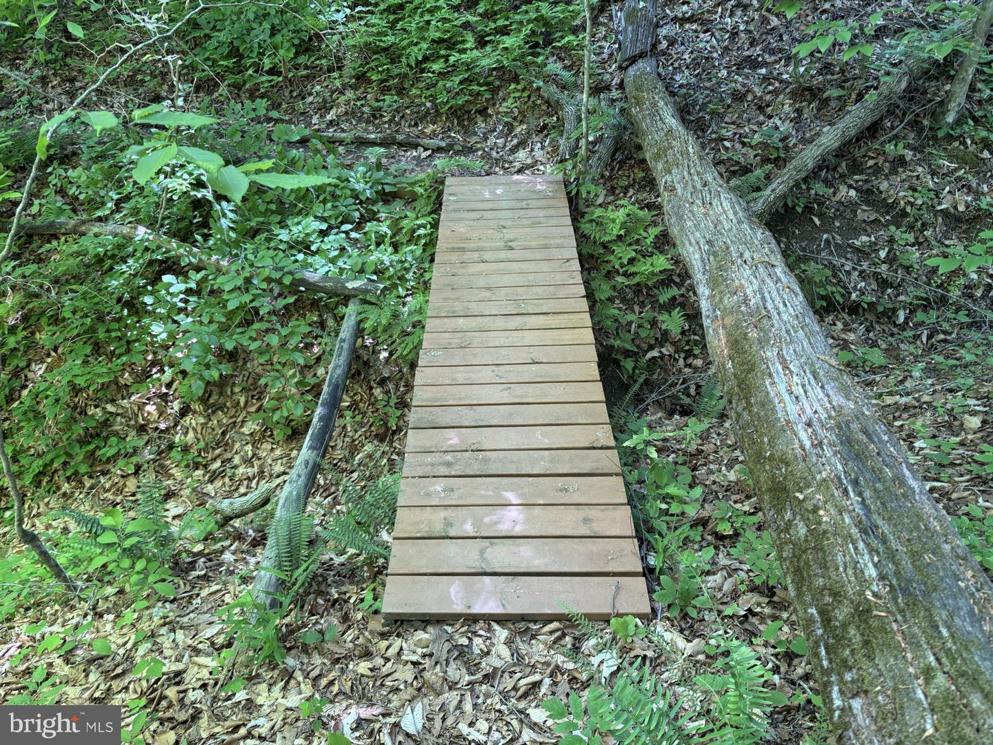 85 HOPEWELL DR, FREDERICKSBURG, Virginia 22406, 5 Bedrooms Bedrooms, ,3 BathroomsBathrooms,Residential,For sale,85 HOPEWELL DR,VAST2045920 MLS # VAST2045920