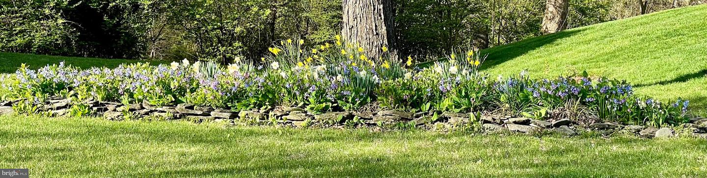 1326 STOURHEAD CT, HERNDON, Virginia 20170, 4 Bedrooms Bedrooms, ,3 BathroomsBathrooms,Residential,For sale,1326 STOURHEAD CT,VAFX2290252 MLS # VAFX2290252