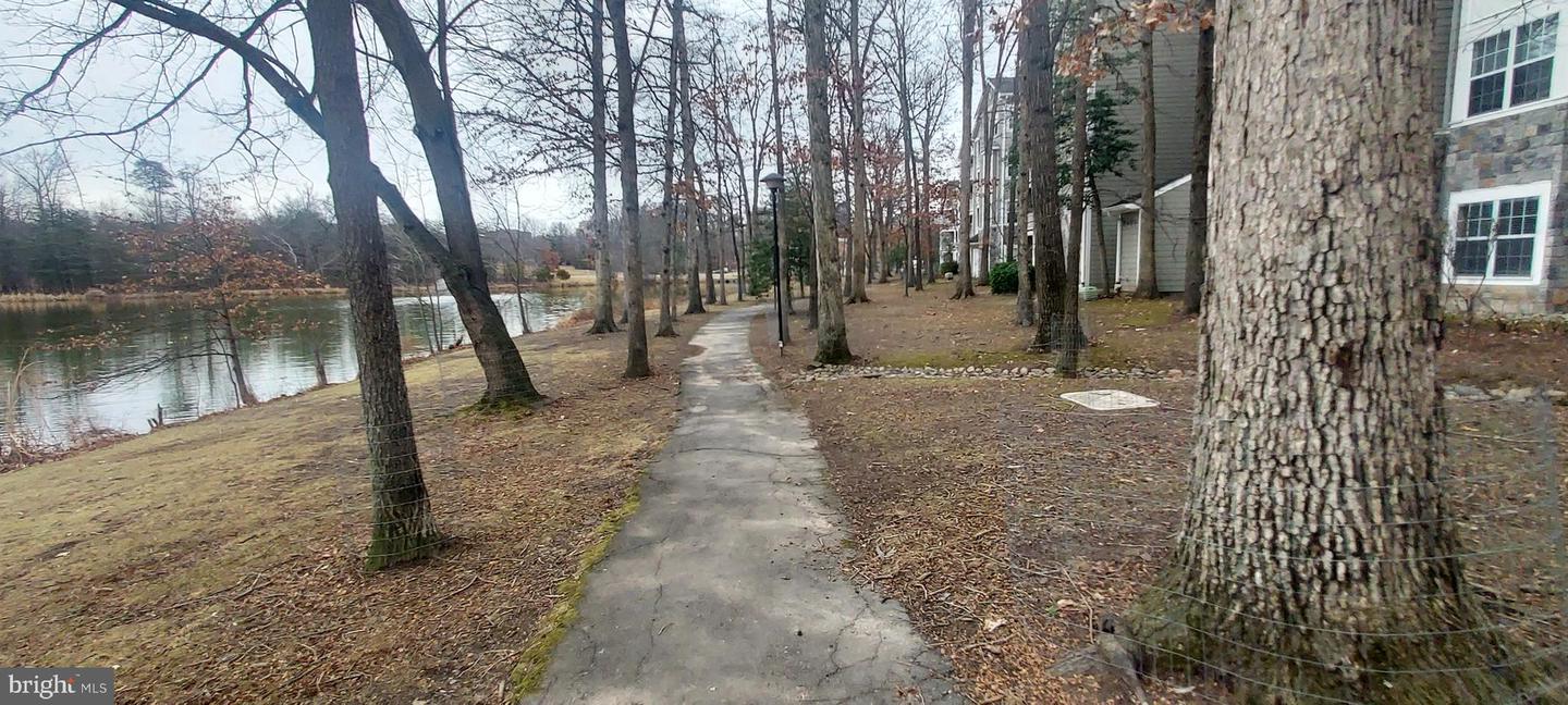 1716 LAKE SHORE CREST DR #22, RESTON, Virginia 20190, 2 Bedrooms Bedrooms, ,1 BathroomBathrooms,Residential,For sale,1716 LAKE SHORE CREST DR #22,VAFX2290514 MLS # VAFX2290514 1716 LAKE SHORE CREST DR #22, RESTON, Virginia 20190, 2 Bedrooms Bedrooms, ,1 BathroomBathrooms,Residential,For sale,1716 LAKE SHORE CREST DR #22,VAFX2290514 MLS # VAFX2290514