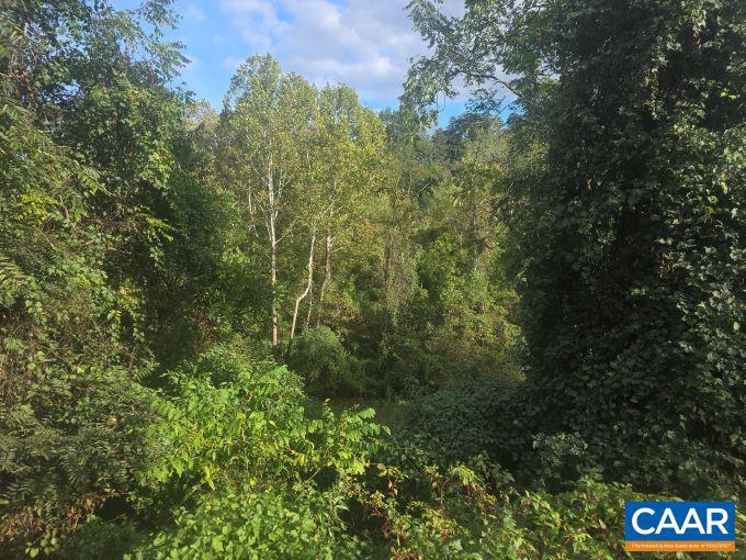 1641 MERIDIAN ST, CHARLOTTESVILLE, Virginia 22902, 4 Bedrooms Bedrooms, ,2 BathroomsBathrooms,Residential,For sale,1641 MERIDIAN ST,669524 MLS # 669524