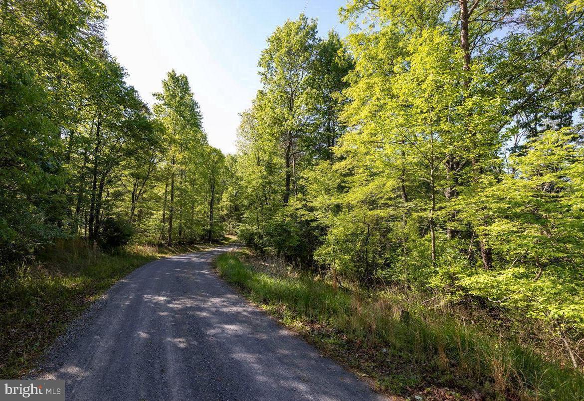 C34 WOODSIDE DR., RILEYVILLE, Virginia 22650, ,Land,For sale,C34 WOODSIDE DR.,VAPA2006038 MLS # VAPA2006038