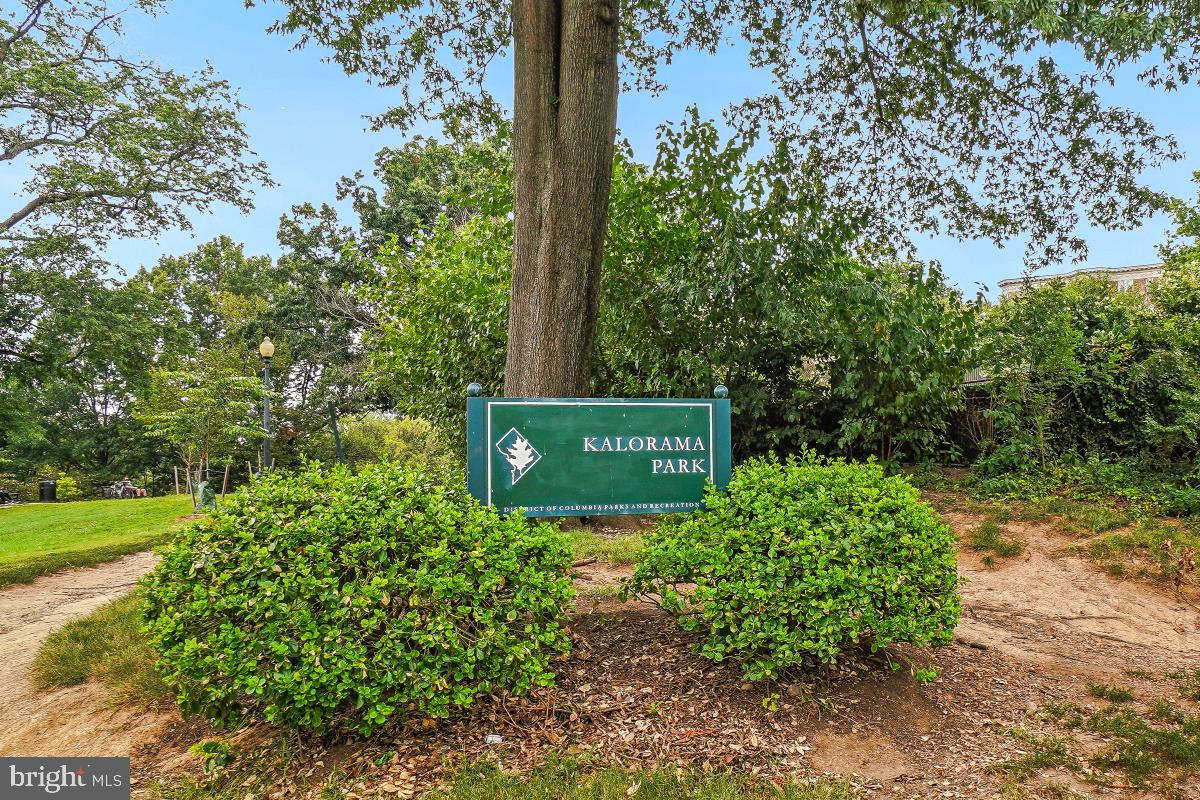 1954 COLUMBIA RD NW #308, WASHINGTON, District Of Columbia 20009, ,1 BathroomBathrooms,Residential,For sale,1954 COLUMBIA RD NW #308,DCDC2245156 MLS # DCDC2245156