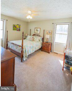 7208 KIRTLEY TRL, CULPEPER, Virginia 22701, 3 Bedrooms Bedrooms, 4 Rooms Rooms,2 BathroomsBathrooms,Residential,For sale,7208 KIRTLEY TRL,VACU2012662 MLS # VACU2012662