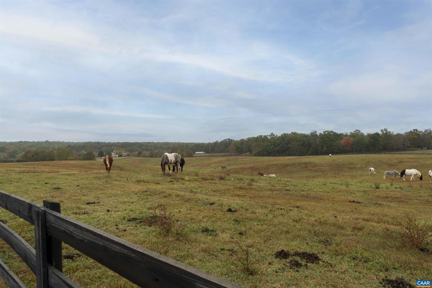 240 OAKMONT DR, GORDONSVILLE, Virginia 22942, 4 Bedrooms Bedrooms, ,2 BathroomsBathrooms,Residential,For sale,240 OAKMONT DR,673244 MLS # 673244