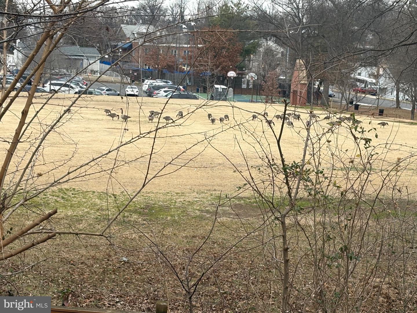 S KENWOOD STREET #2445, ARLINGTON, Virginia 22206, 7 Bedrooms Bedrooms, 7 Rooms Rooms,5 BathroomsBathrooms,Residential,For sale,S KENWOOD STREET #2445,VAAR2064470 MLS # VAAR2064470