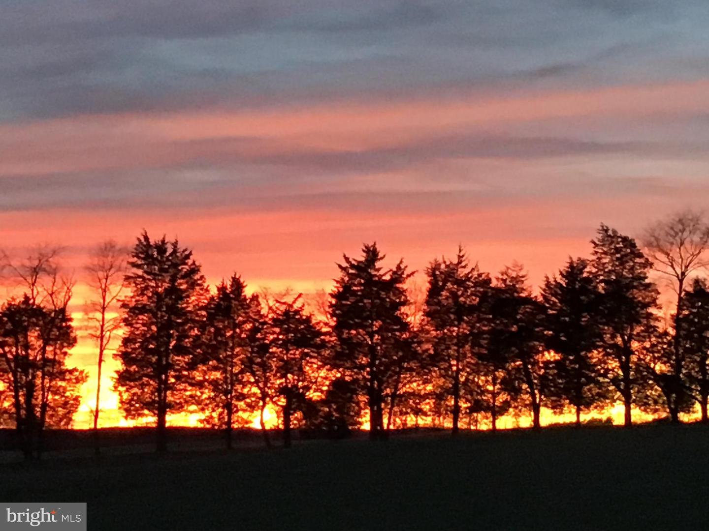 24511 PEACOCK LN, RAPIDAN, Virginia 22733, 4 Bedrooms Bedrooms, ,5 BathroomsBathrooms,Residential,For sale,24511 PEACOCK LN,VACU2012628 MLS # VACU2012628 24511 PEACOCK LN, RAPIDAN, Virginia 22733, 4 Bedrooms Bedrooms, ,5 BathroomsBathrooms,Residential,For sale,24511 PEACOCK LN,VACU2012628 MLS # VACU2012628