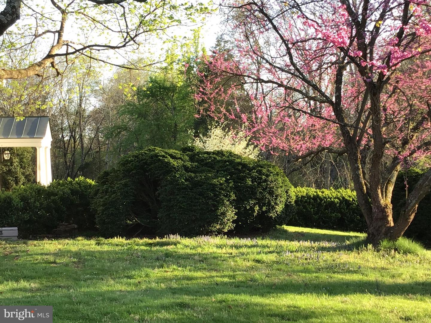 24511 PEACOCK LN, RAPIDAN, Virginia 22733, 4 Bedrooms Bedrooms, ,5 BathroomsBathrooms,Residential,For sale,24511 PEACOCK LN,VACU2012628 MLS # VACU2012628 24511 PEACOCK LN, RAPIDAN, Virginia 22733, 4 Bedrooms Bedrooms, ,5 BathroomsBathrooms,Residential,For sale,24511 PEACOCK LN,VACU2012628 MLS # VACU2012628