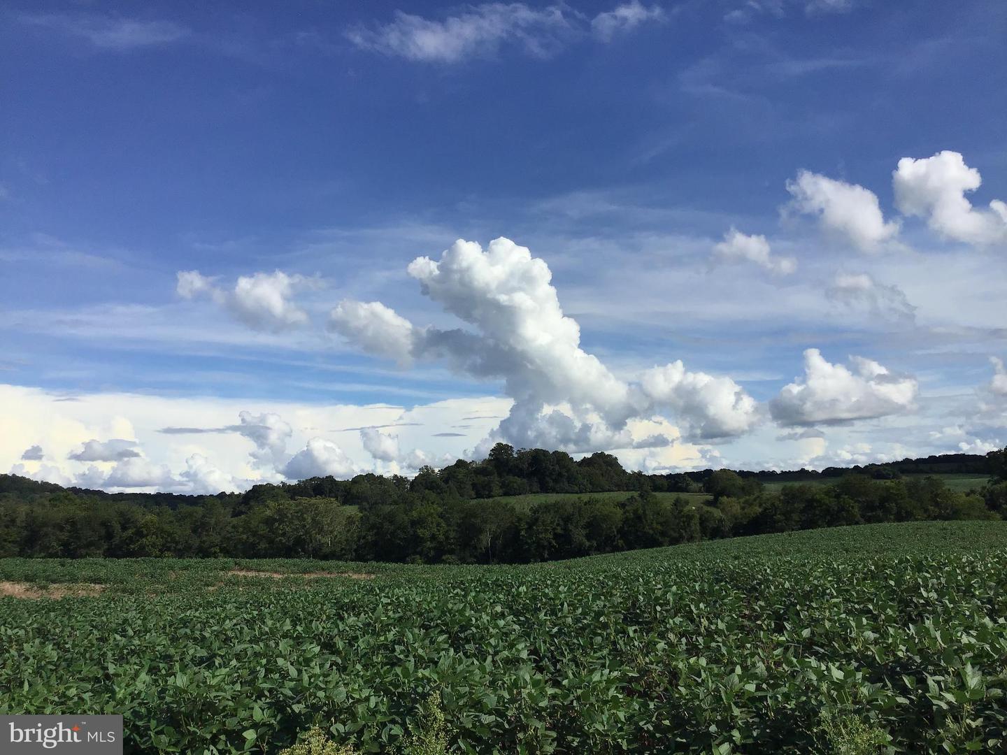 24511 PEACOCK LN, RAPIDAN, Virginia 22733, 4 Bedrooms Bedrooms, ,5 BathroomsBathrooms,Residential,For sale,24511 PEACOCK LN,VACU2012628 MLS # VACU2012628 24511 PEACOCK LN, RAPIDAN, Virginia 22733, 4 Bedrooms Bedrooms, ,5 BathroomsBathrooms,Residential,For sale,24511 PEACOCK LN,VACU2012628 MLS # VACU2012628