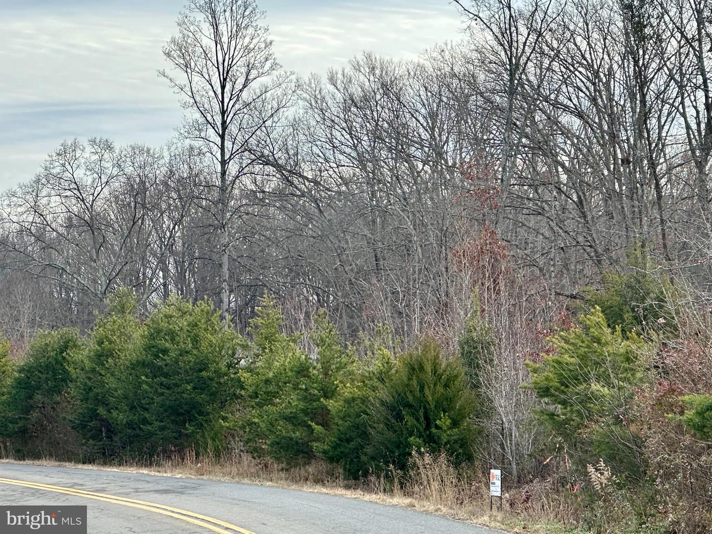 LOT 1 BELSCHES RD, BUMPASS, Virginia 23024, ,Land,For sale,LOT 1 BELSCHES RD,VALA2009020 MLS # VALA2009020