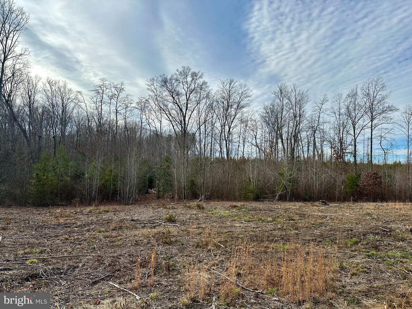 LOT 2 BELSCHES RD, BUMPASS, Virginia 23024, ,Land,For sale,LOT 2 BELSCHES RD,VALA2009022 MLS # VALA2009022