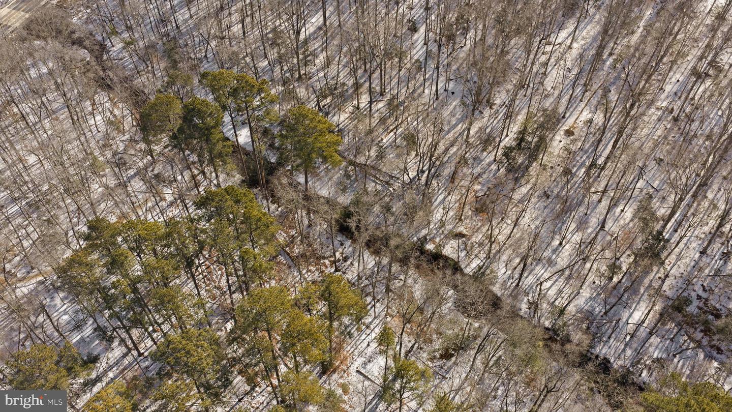 15285 WOODSLANE RD, WOODFORD, Virginia 22580, 4 Bedrooms Bedrooms, ,2 BathroomsBathrooms,Residential,For sale,15285 WOODSLANE RD,VACV2009520 MLS # VACV2009520