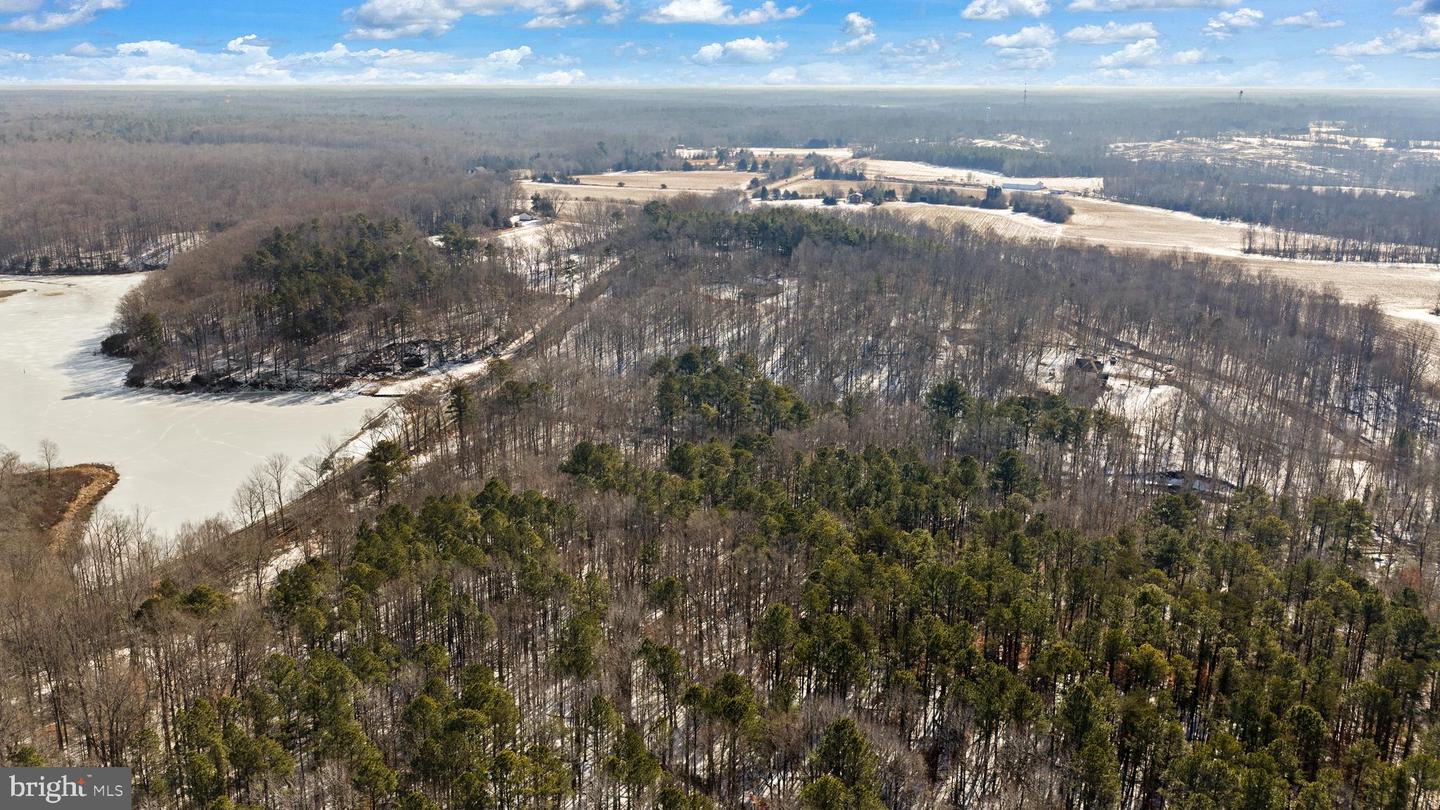 15285 WOODSLANE RD, WOODFORD, Virginia 22580, 4 Bedrooms Bedrooms, ,2 BathroomsBathrooms,Residential,For sale,15285 WOODSLANE RD,VACV2009520 MLS # VACV2009520