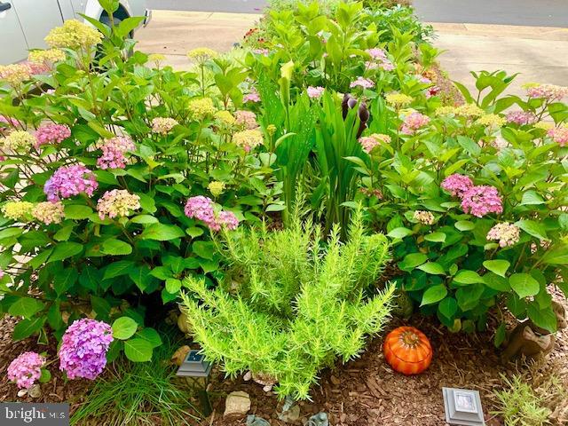 9411 WILCOXEN DR, MANASSAS PARK, Virginia 20111, 3 Bedrooms Bedrooms, ,2 BathroomsBathrooms,Residential,For sale,9411 WILCOXEN DR,VAMP2003698 MLS # VAMP2003698