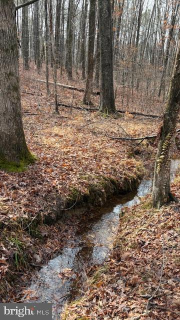 0 MOUNTAIN TRACK RD, ORANGE, Virginia 22960, ,Land,For sale,0 MOUNTAIN TRACK RD,VAOR2013248 MLS # VAOR2013248