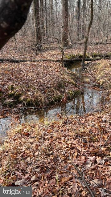 0 MOUNTAIN TRACK RD, ORANGE, Virginia 22960, ,Land,For sale,0 MOUNTAIN TRACK RD,VAOR2013248 MLS # VAOR2013248