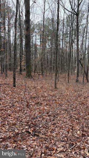 0 MOUNTAIN TRACK RD, ORANGE, Virginia 22960, ,Land,For sale,0 MOUNTAIN TRACK RD,VAOR2013248 MLS # VAOR2013248