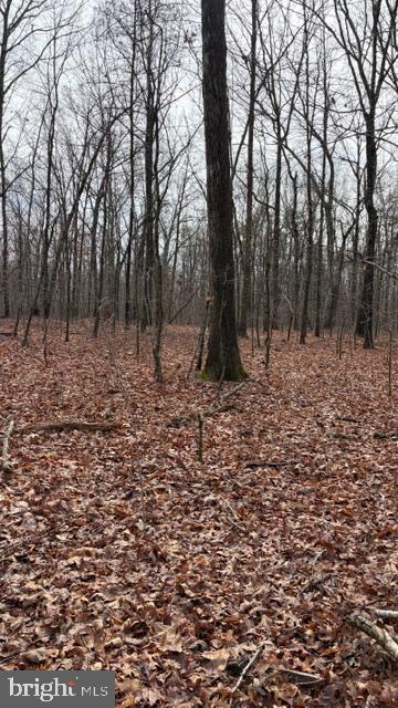 0 MOUNTAIN TRACK RD, ORANGE, Virginia 22960, ,Land,For sale,0 MOUNTAIN TRACK RD,VAOR2013248 MLS # VAOR2013248