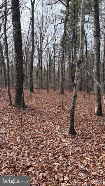 0 MOUNTAIN TRACK RD, ORANGE, Virginia 22960, ,Land,For sale,0 MOUNTAIN TRACK RD,VAOR2013248 MLS # VAOR2013248