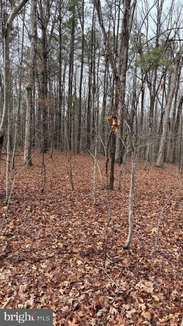 0 MOUNTAIN TRACK RD, ORANGE, Virginia 22960, ,Land,For sale,0 MOUNTAIN TRACK RD,VAOR2013248 MLS # VAOR2013248