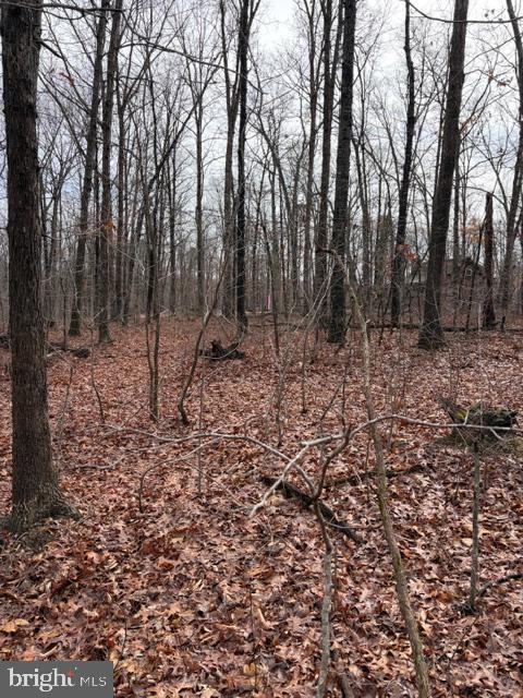 0 MOUNTAIN TRACK RD, ORANGE, Virginia 22960, ,Land,For sale,0 MOUNTAIN TRACK RD,VAOR2013248 MLS # VAOR2013248