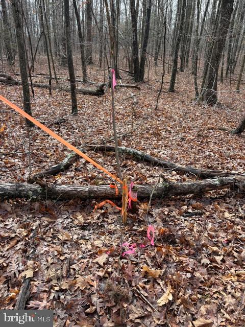 0 MOUNTAIN TRACK RD, ORANGE, Virginia 22960, ,Land,For sale,0 MOUNTAIN TRACK RD,VAOR2013248 MLS # VAOR2013248