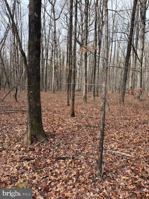 0 MOUNTAIN TRACK RD, ORANGE, Virginia 22960, ,Land,For sale,0 MOUNTAIN TRACK RD,VAOR2013248 MLS # VAOR2013248
