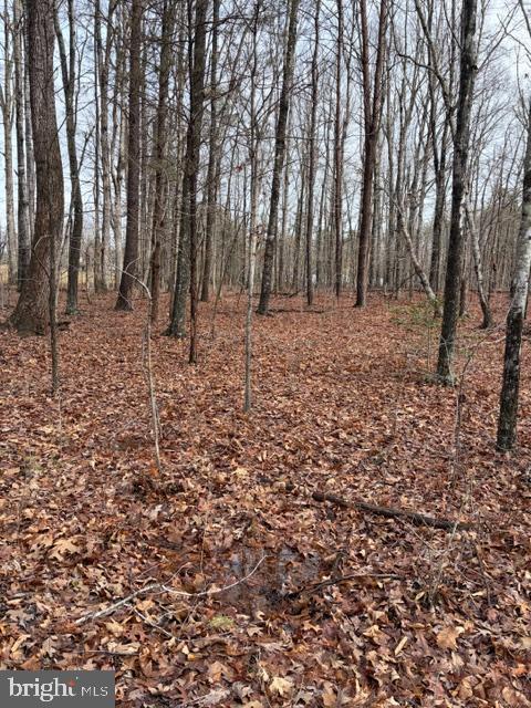 0 MOUNTAIN TRACK RD, ORANGE, Virginia 22960, ,Land,For sale,0 MOUNTAIN TRACK RD,VAOR2013248 MLS # VAOR2013248
