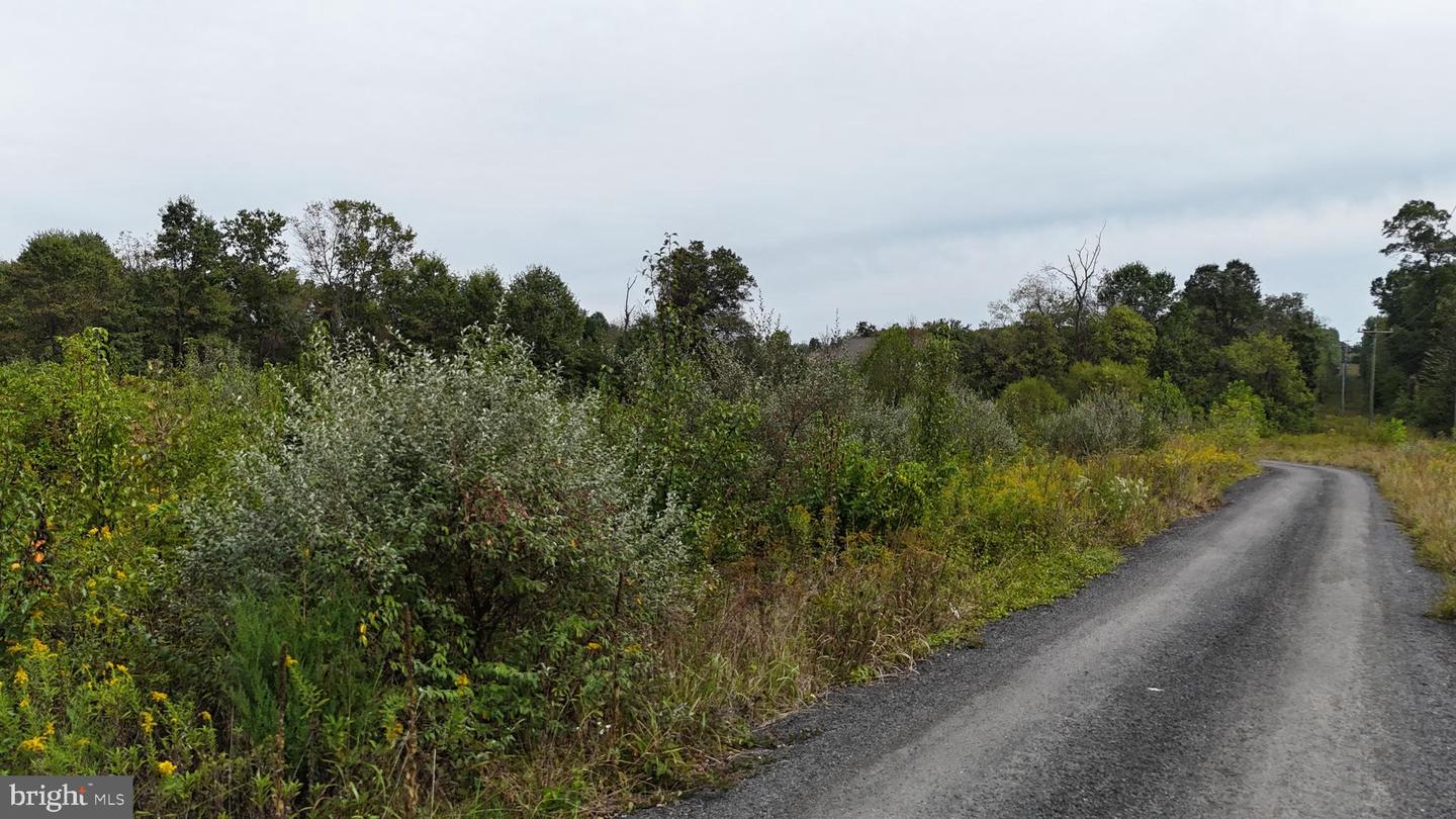 DELTA DIAMOND LANE, LEESBURG, Virginia 20175, ,Land,For sale,DELTA DIAMOND LANE,VALO2107922 MLS # VALO2107922