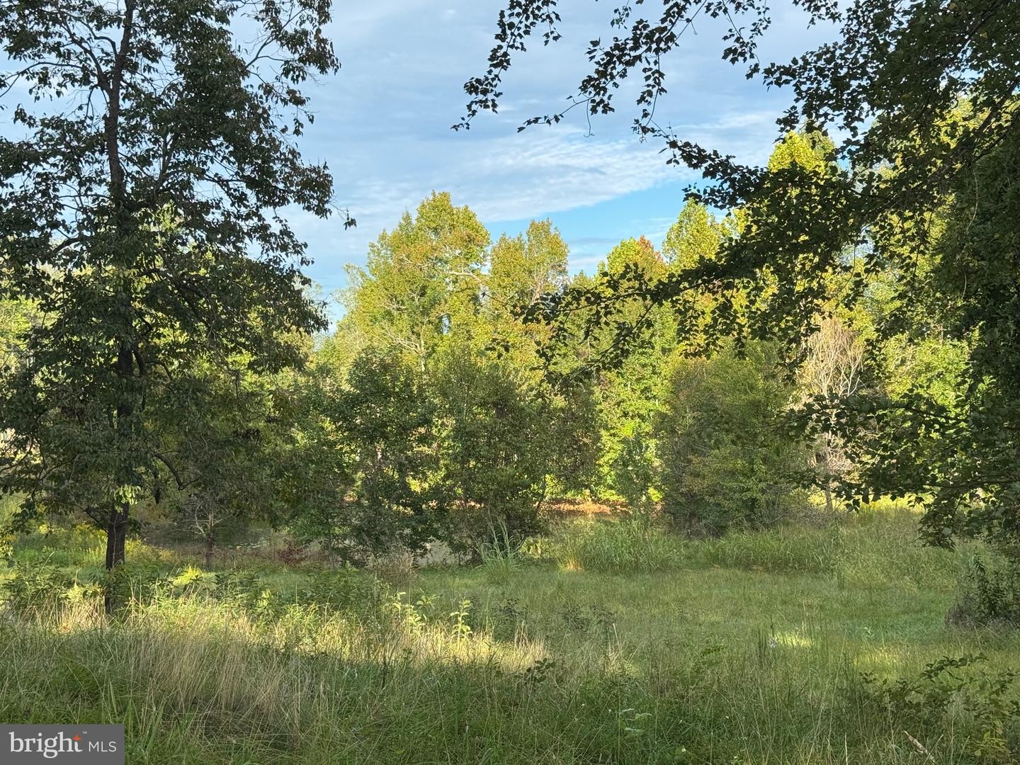 164 GARRETTS MILL RD, BUMPASS, Virginia 23024, ,Land,For sale,164 GARRETTS MILL RD,VALA2008650 MLS # VALA2008650