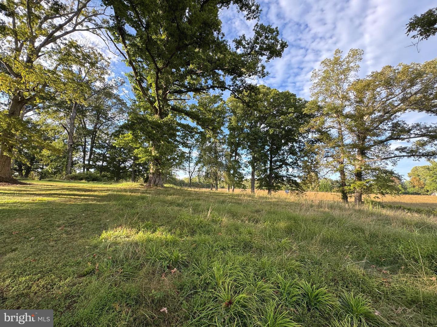 164 GARRETTS MILL RD, BUMPASS, Virginia 23024, ,Land,For sale,164 GARRETTS MILL RD,VALA2008650 MLS # VALA2008650