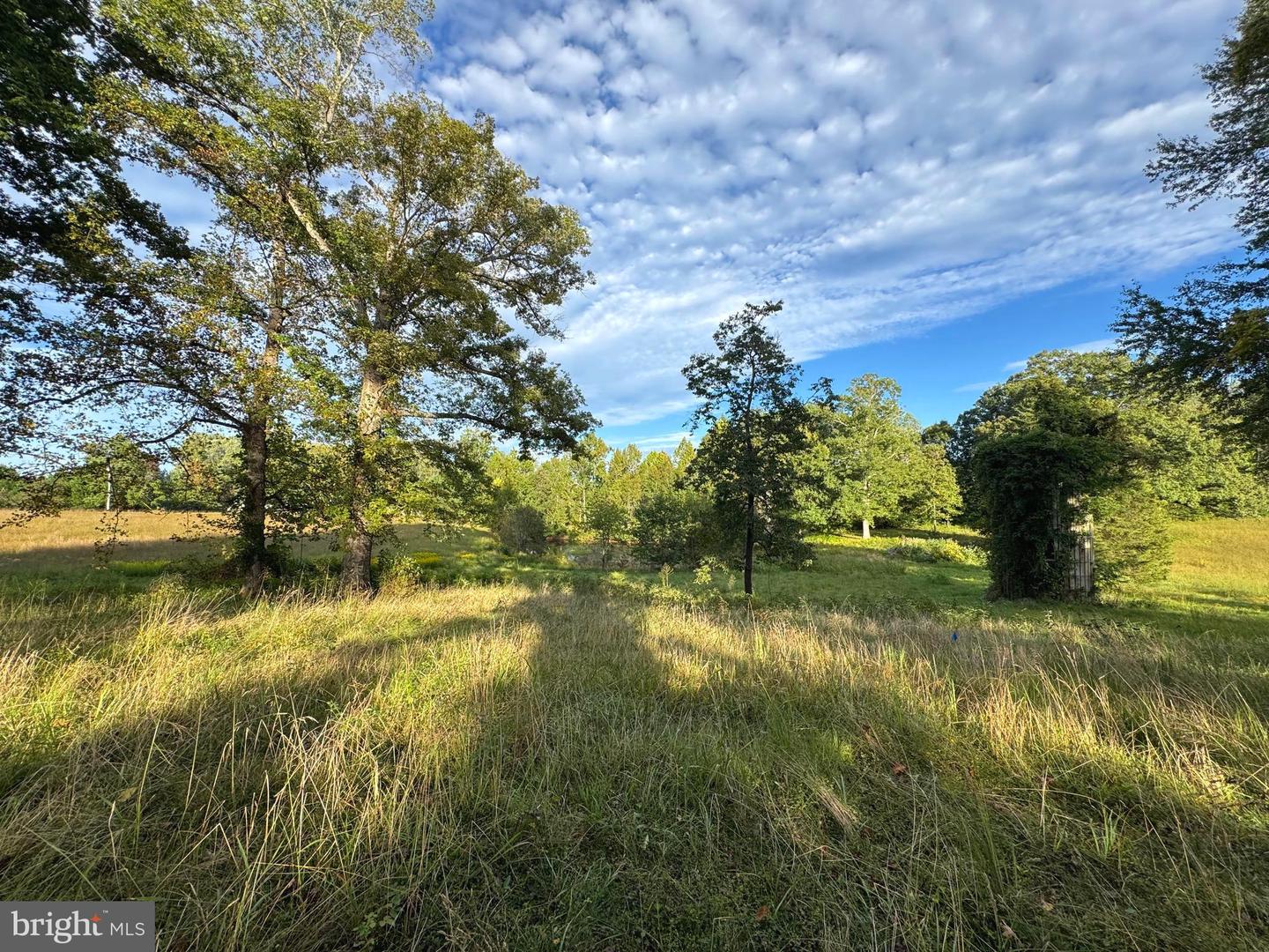 164 GARRETTS MILL RD, BUMPASS, Virginia 23024, ,Land,For sale,164 GARRETTS MILL RD,VALA2008650 MLS # VALA2008650