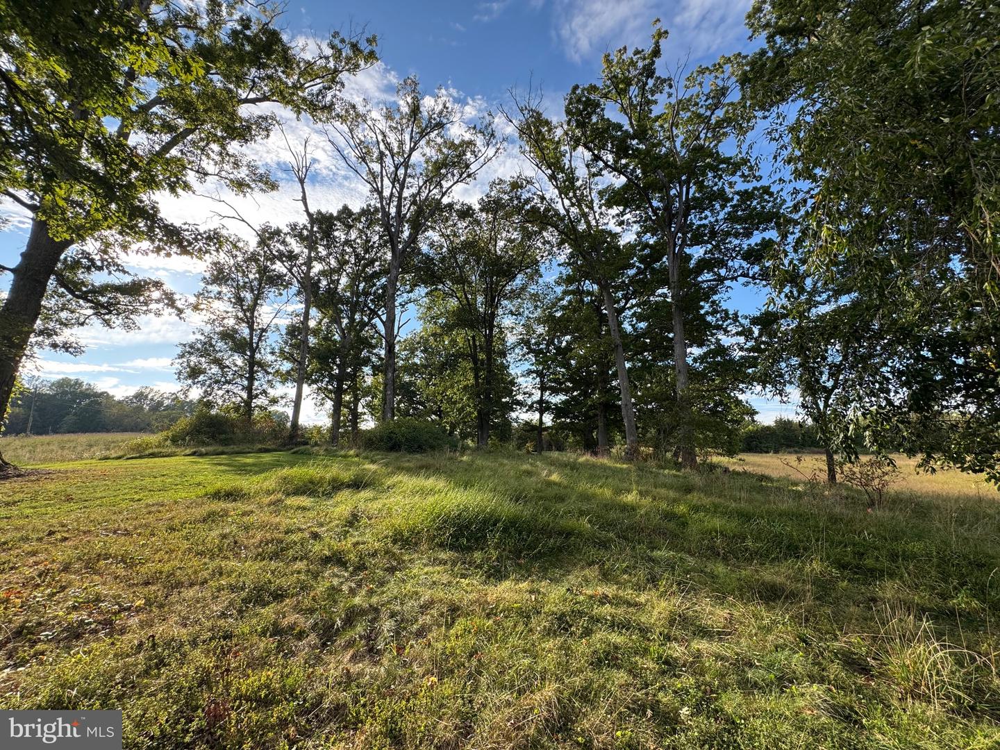 164 GARRETTS MILL RD, BUMPASS, Virginia 23024, ,Land,For sale,164 GARRETTS MILL RD,VALA2008650 MLS # VALA2008650