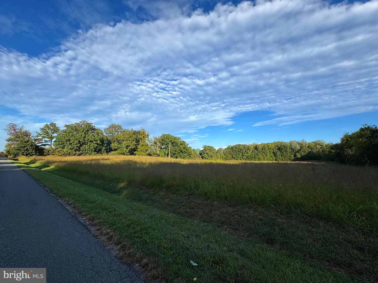 164 GARRETTS MILL RD, BUMPASS, Virginia 23024, ,Land,For sale,164 GARRETTS MILL RD,VALA2008650 MLS # VALA2008650