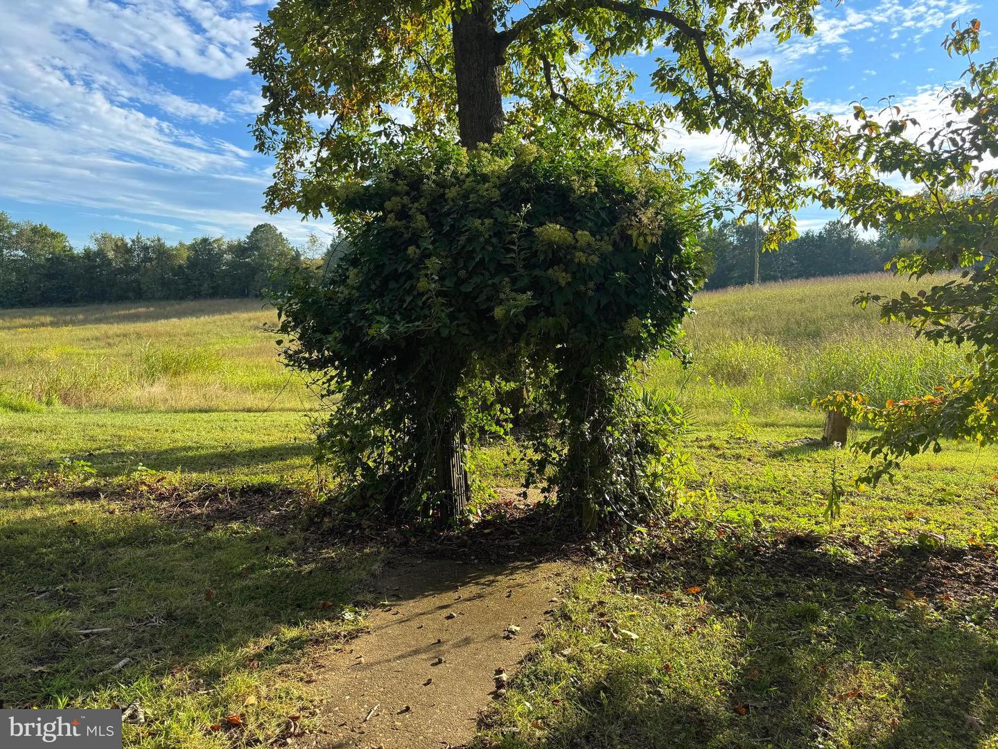 164 GARRETTS MILL RD, BUMPASS, Virginia 23024, ,Land,For sale,164 GARRETTS MILL RD,VALA2008650 MLS # VALA2008650