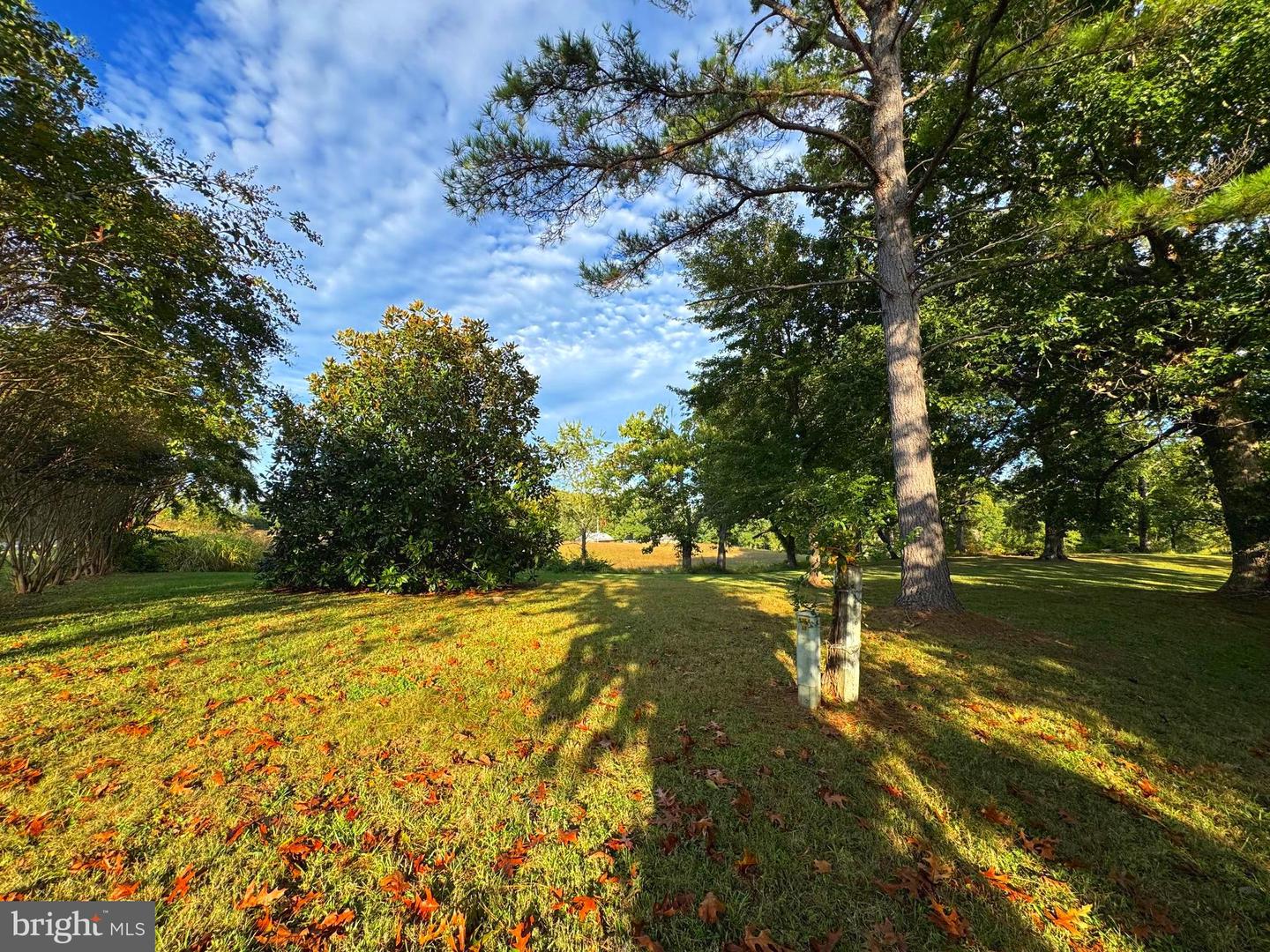 164 GARRETTS MILL RD, BUMPASS, Virginia 23024, ,Land,For sale,164 GARRETTS MILL RD,VALA2008650 MLS # VALA2008650