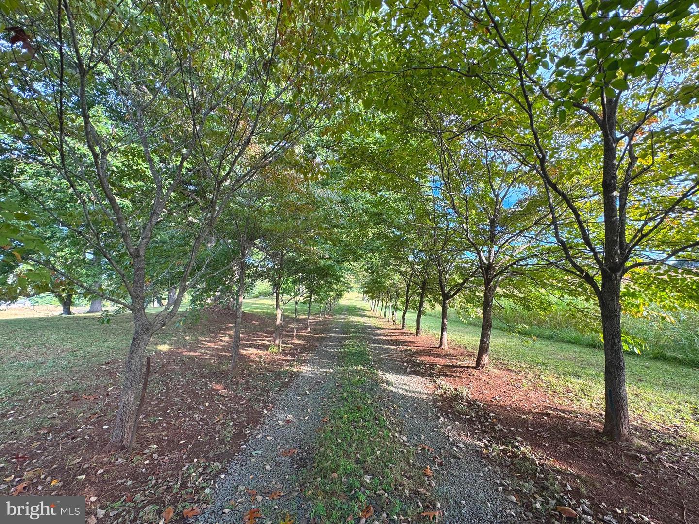 164 GARRETTS MILL RD, BUMPASS, Virginia 23024, ,Land,For sale,164 GARRETTS MILL RD,VALA2008650 MLS # VALA2008650