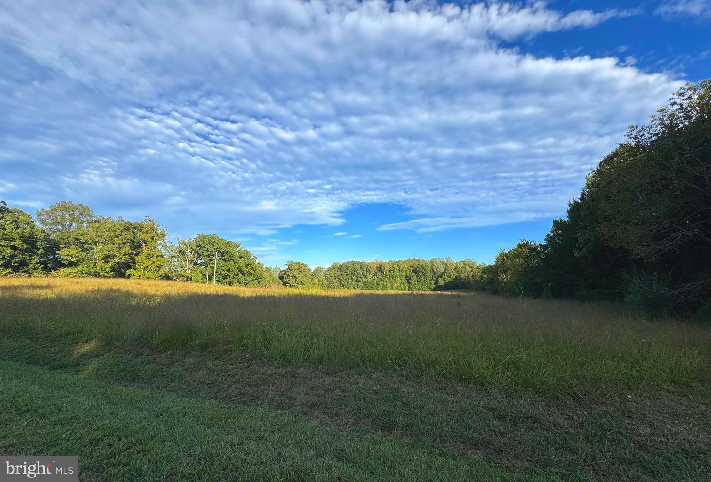 164 GARRETTS MILL RD, BUMPASS, Virginia 23024, ,Land,For sale,164 GARRETTS MILL RD,VALA2008650 MLS # VALA2008650