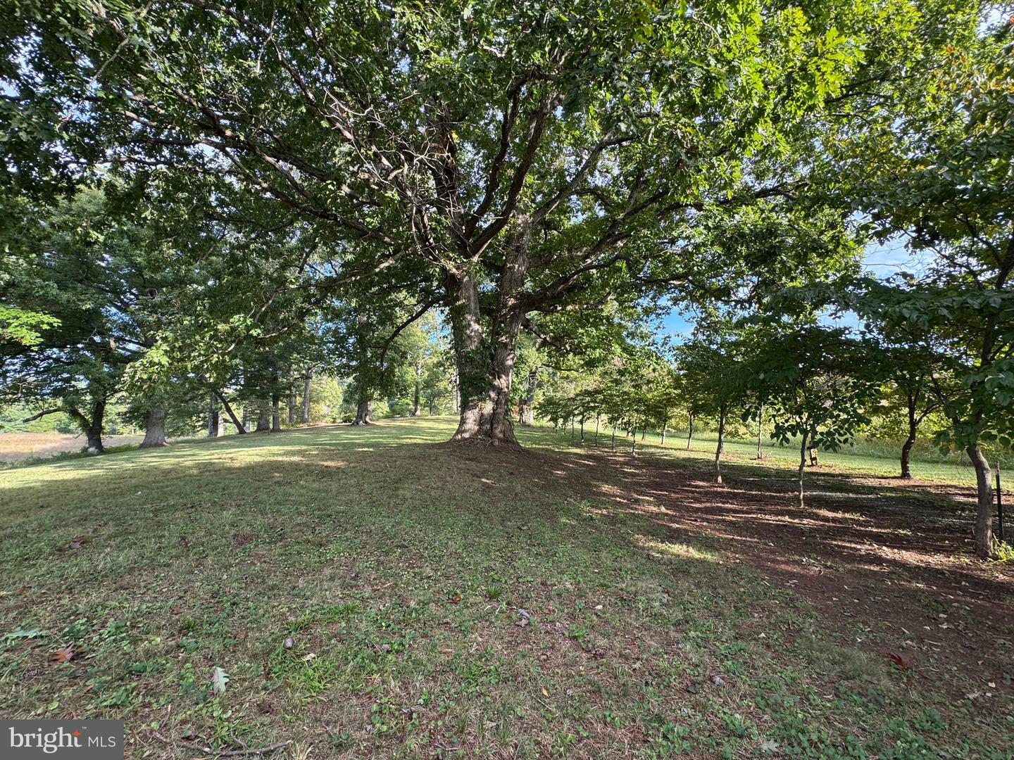 164 GARRETTS MILL RD, BUMPASS, Virginia 23024, ,Land,For sale,164 GARRETTS MILL RD,VALA2008650 MLS # VALA2008650