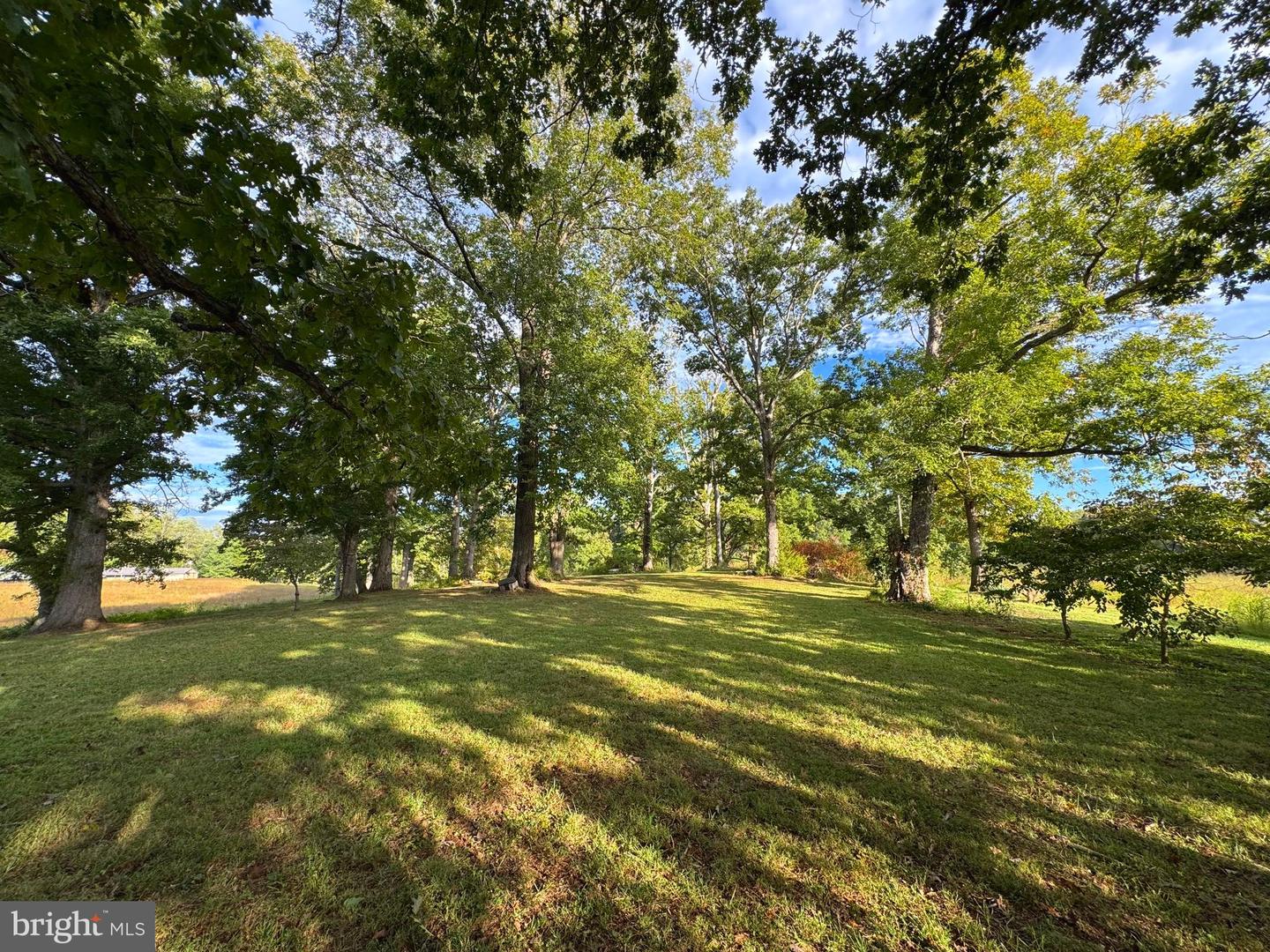 164 GARRETTS MILL RD, BUMPASS, Virginia 23024, ,Land,For sale,164 GARRETTS MILL RD,VALA2008650 MLS # VALA2008650