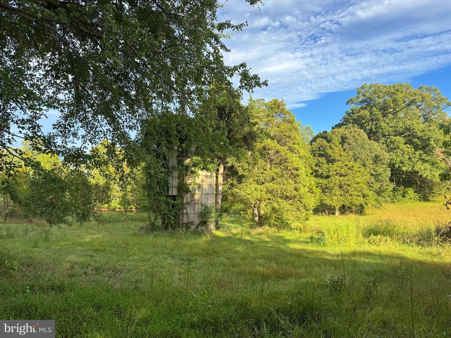 164 GARRETTS MILL RD, BUMPASS, Virginia 23024, ,Land,For sale,164 GARRETTS MILL RD,VALA2008650 MLS # VALA2008650