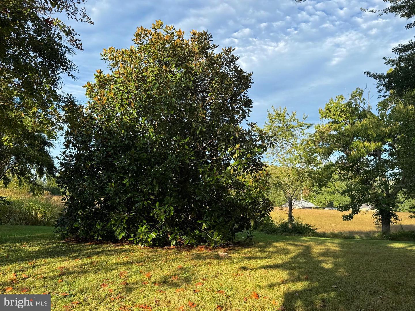 164 GARRETTS MILL RD, BUMPASS, Virginia 23024, ,Land,For sale,164 GARRETTS MILL RD,VALA2008650 MLS # VALA2008650