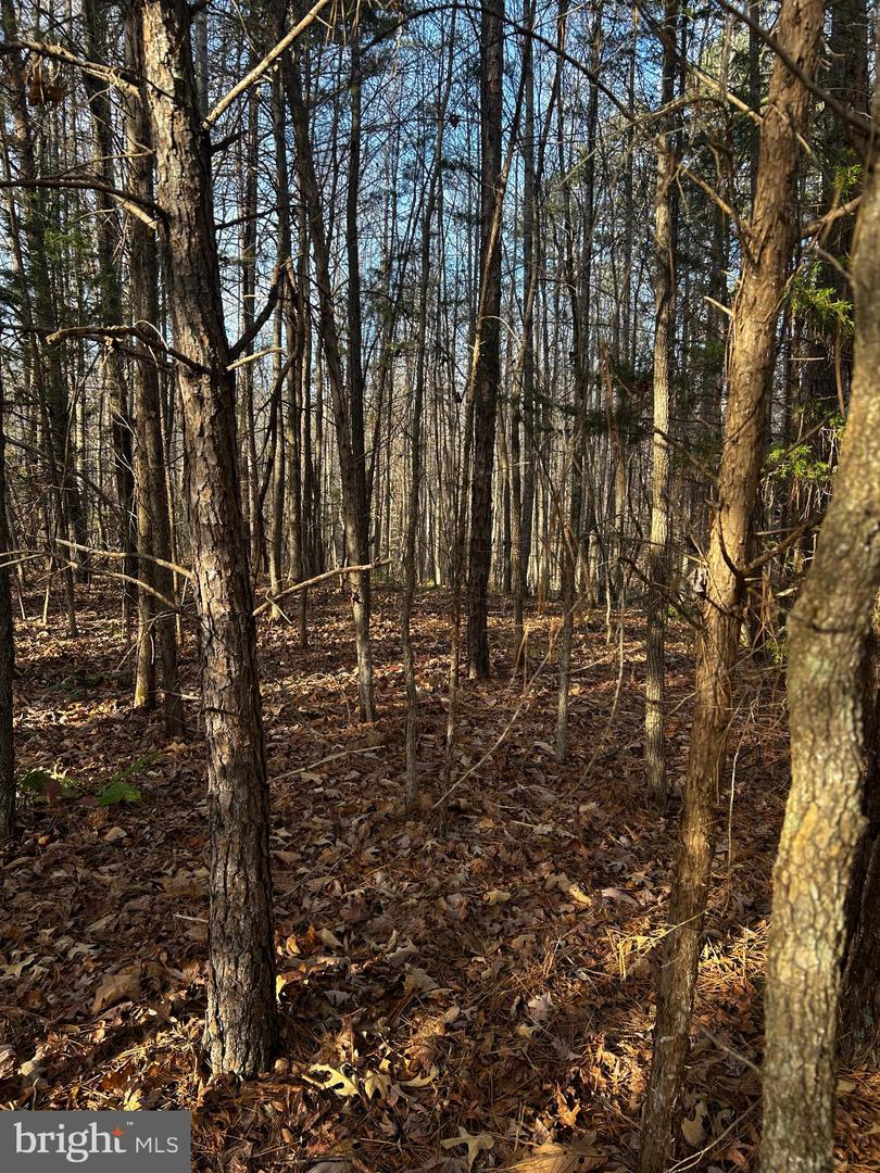 0 BAGWELL DRIVE, SCOTTSBURG, Virginia 24589, ,Land,For sale,0 BAGWELL DRIVE,VAHX2000166 MLS # VAHX2000166