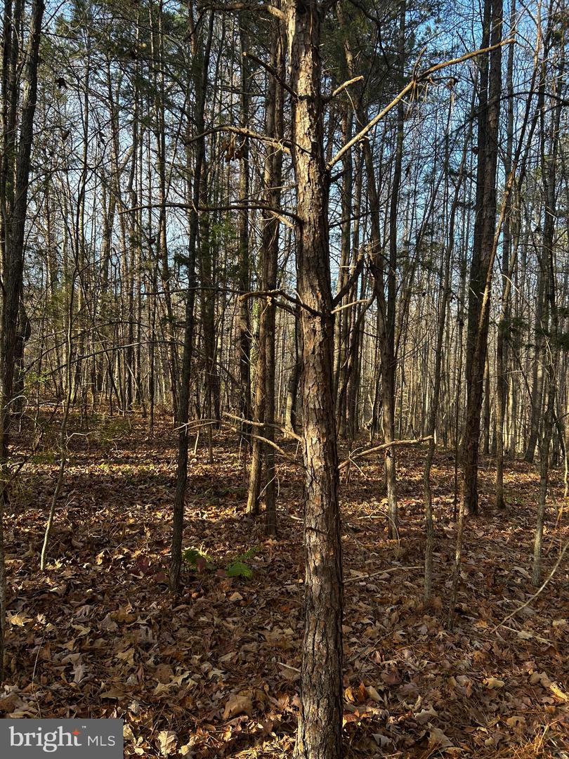 0 BAGWELL DRIVE, SCOTTSBURG, Virginia 24589, ,Land,For sale,0 BAGWELL DRIVE,VAHX2000166 MLS # VAHX2000166