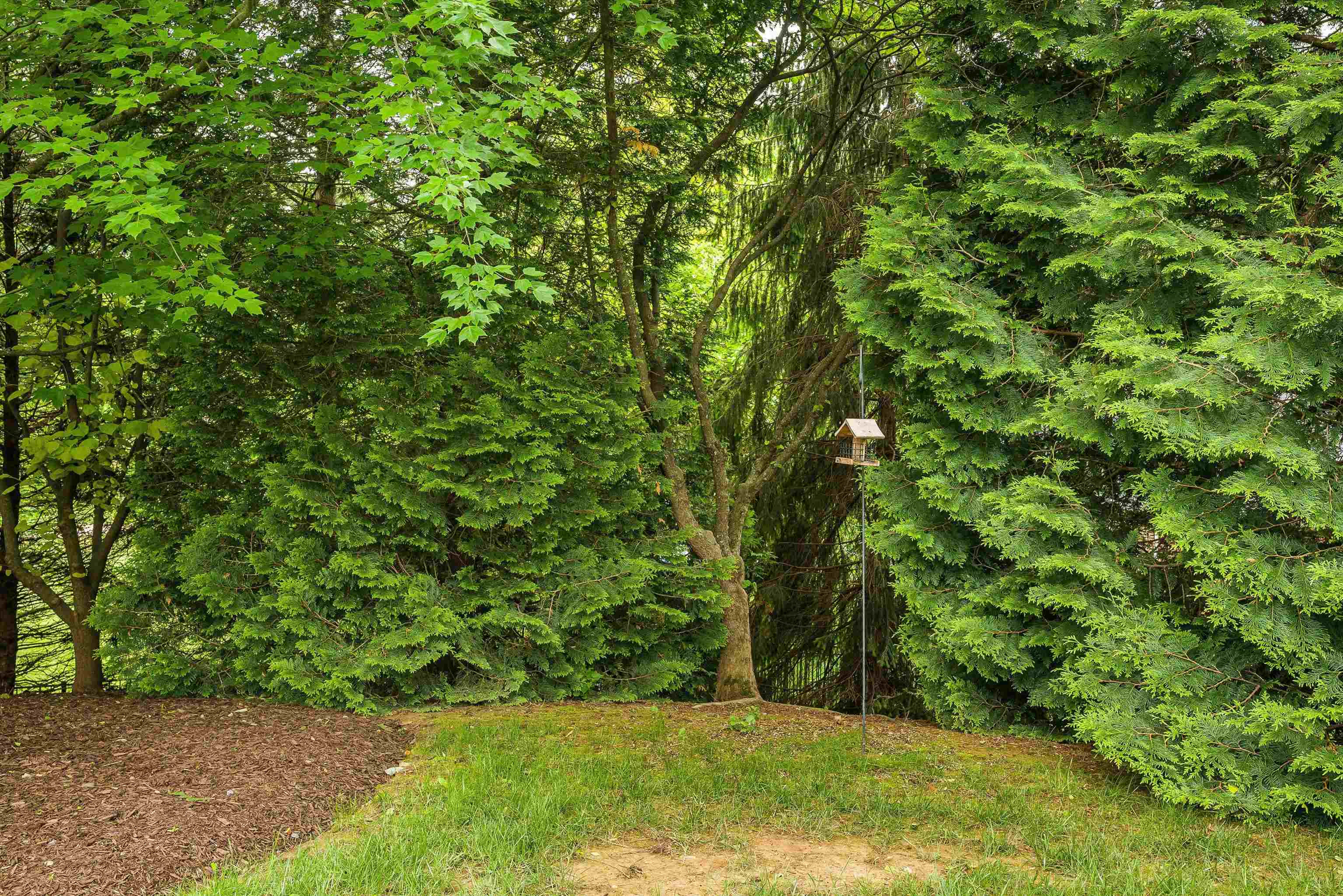 3525 TRAVELER RD, ROCKINGHAM, Virginia 22801, 4 Bedrooms Bedrooms, ,4 BathroomsBathrooms,Residential,3525 TRAVELER RD,673050 MLS # 673050