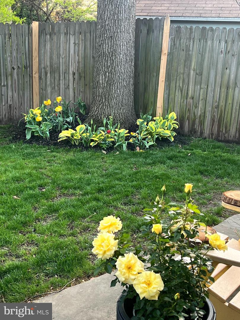 2201 HARVARD DR, ALEXANDRIA, Virginia 22307, 3 Bedrooms Bedrooms, ,2 BathroomsBathrooms,Residential,For sale,2201 HARVARD DR,VAFX2290500 MLS # VAFX2290500 2201 HARVARD DR, ALEXANDRIA, Virginia 22307, 3 Bedrooms Bedrooms, ,2 BathroomsBathrooms,Residential,For sale,2201 HARVARD DR,VAFX2290500 MLS # VAFX2290500