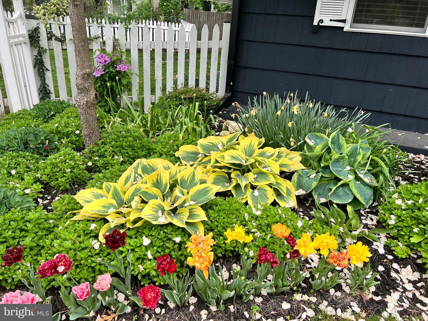 2201 HARVARD DR, ALEXANDRIA, Virginia 22307, 3 Bedrooms Bedrooms, ,2 BathroomsBathrooms,Residential,For sale,2201 HARVARD DR,VAFX2290500 MLS # VAFX2290500 2201 HARVARD DR, ALEXANDRIA, Virginia 22307, 3 Bedrooms Bedrooms, ,2 BathroomsBathrooms,Residential,For sale,2201 HARVARD DR,VAFX2290500 MLS # VAFX2290500