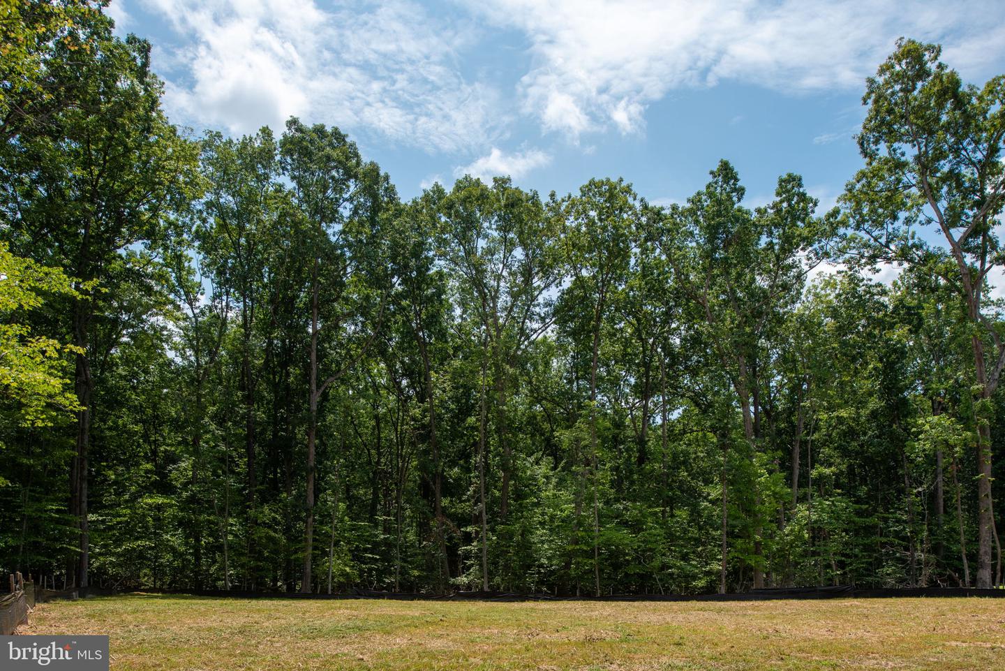 16014 CARRINGTON CT, MINERAL, Virginia 23117, 3 Bedrooms Bedrooms, ,2 BathroomsBathrooms,Residential,For sale,16014 CARRINGTON CT,VASP2039250 MLS # VASP2039250