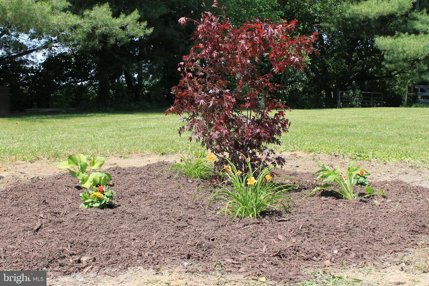 1615 PLEASANT VIEW RD, MOUNT JACKSON, Virginia 22842, 4 Bedrooms Bedrooms, ,2 BathroomsBathrooms,Residential,For sale,1615 PLEASANT VIEW RD,VASH2012018 MLS # VASH2012018