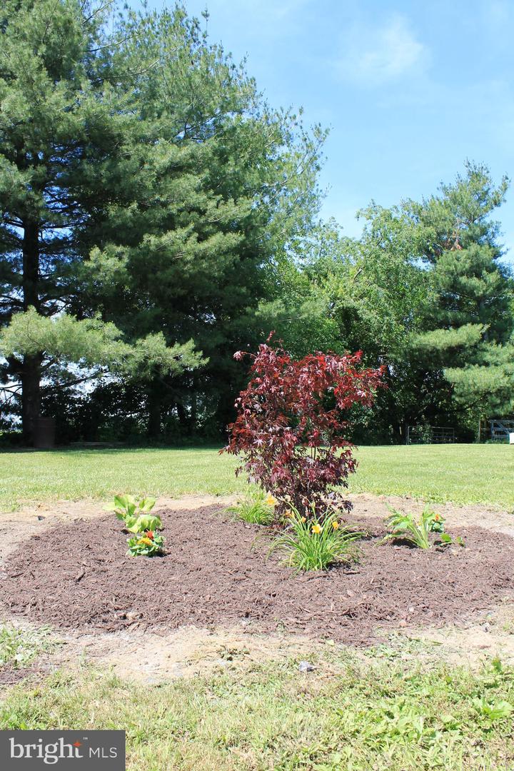 1615 PLEASANT VIEW RD, MOUNT JACKSON, Virginia 22842, 4 Bedrooms Bedrooms, ,2 BathroomsBathrooms,Residential,For sale,1615 PLEASANT VIEW RD,VASH2012018 MLS # VASH2012018