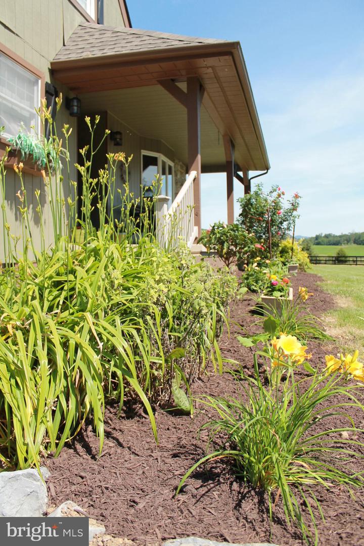 1615 PLEASANT VIEW RD, MOUNT JACKSON, Virginia 22842, 4 Bedrooms Bedrooms, ,2 BathroomsBathrooms,Residential,For sale,1615 PLEASANT VIEW RD,VASH2012018 MLS # VASH2012018